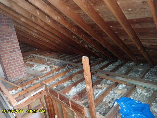 17176 Asbury Park attic 4.jpeg